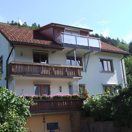 Appartement Haus Michler à Todtnau Extérieur photo